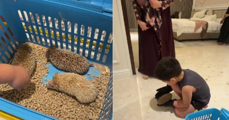 TikTok.com/inicitrakirana